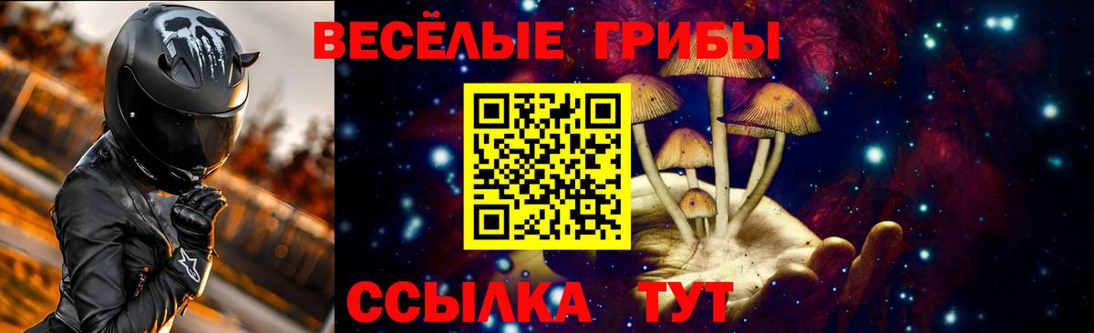 Бузулук  Галлюциногенные грибы ЛСД  Вход с VPN 
